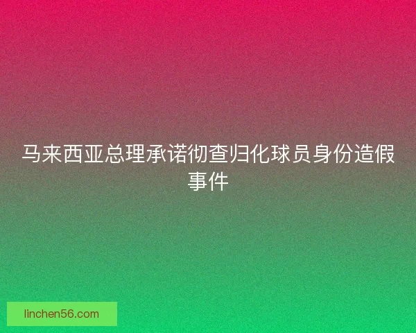 马来西亚总理承诺彻查归化球员身份造假事件