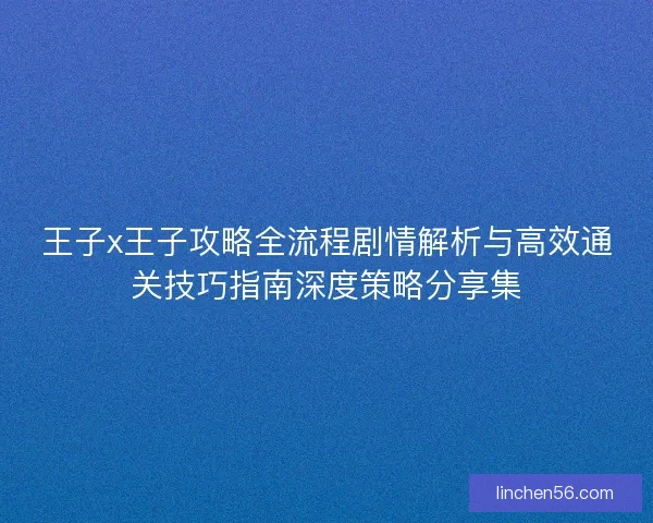 王子x王子攻略全流程剧情解析与高效通关技巧指南深度策略分享集